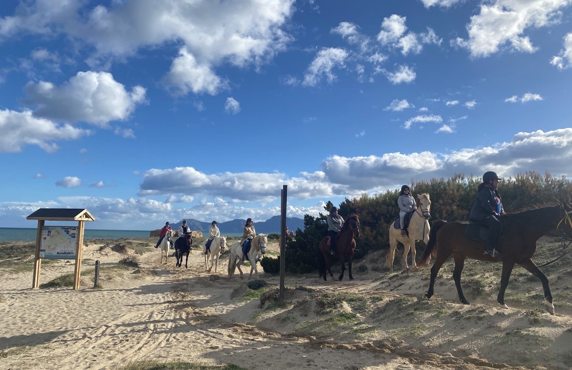 horse riding mallorca