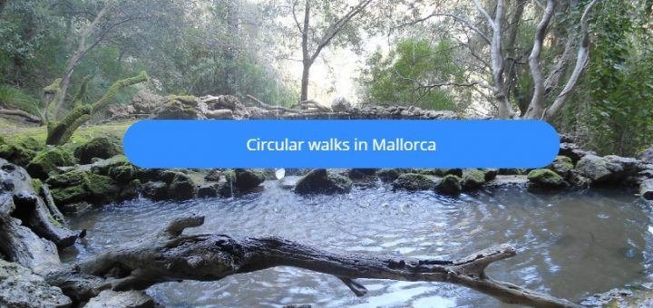 circular walks mallorca